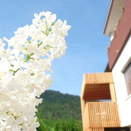 B&B Casa Sul Lago - Appartamenti Calceranica al Lago Zimmer foto