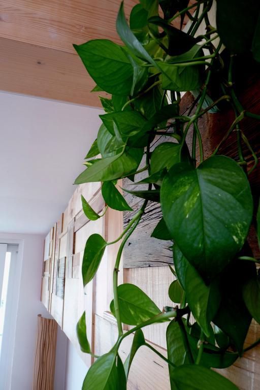 B&B Casa Sul Lago - Appartamenti Calceranica al Lago Zimmer foto